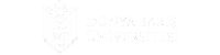 dunya-baris-universitesi-logo-boyut